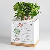 PRATICITÀ! Il nostro vaso è ottimo per la coltivazione di ogni tipo di piante, a partire da piante grasse, cactus, piante decorative e fiori di ogni genere, finendo in cucina con una bella collezione di fresche erbe aromatiche sempre a portata di mano. Ogni vaso ha un design decisamente moderno e minimalista dalla superficie lucida il che lo rende facile da pulire con un semplice strofinaccio. Inoltre si adatta perfettamente al vassoio sottovaso in bambù.