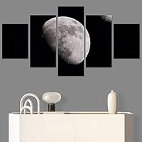 SIGNWIN 5 Panel Canvas Wall Art Aerial Astronomy & Space Expressive Global Moon Multicolor Photography Realism Warm for Home Decorations Ready to Hang - 60