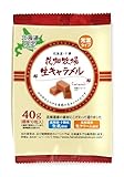 花畑牧場生キャラメル常温タイププレーン小袋40ｇ×10袋
