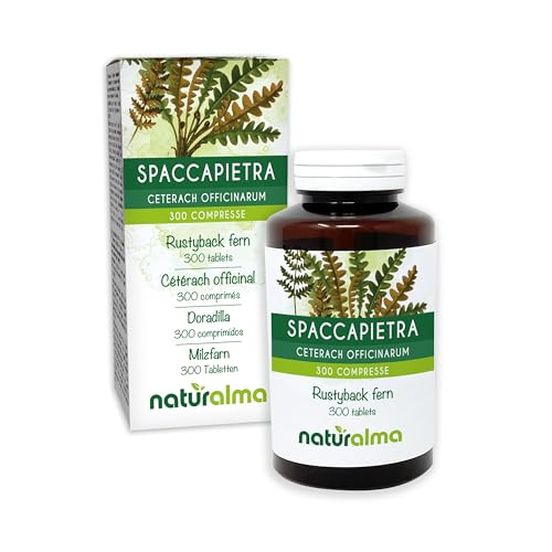 Doradilla (Ceterach officinarum o Asplenium ceterach) hojas Naturalma - 150 g - 300 comprimidos - Complemento alimenticio - Natural y Vegano