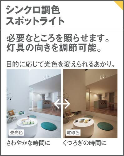 Amazon | パナソニック スポットライト 配線ダクトレール用 調色 100形 