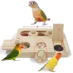 鳥用おもちゃ - Amazon.co.jp