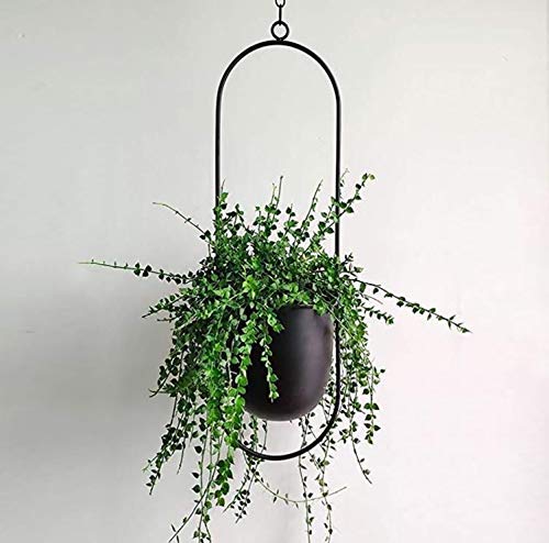 Cratone hangende plantenhanger, metaal, zwarte bloempot, plafond, hangende pot voor kamerplanten, vetplanten… - Image 4