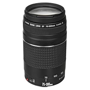 Canon EF 75-300mm f/4-5.6 III Telephoto Zoom Lens for Canon SLR Cameras, 6473A003 (Renewed)