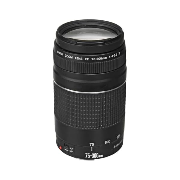 Canon EF 75-300mm f/4-5.6 III Telephoto Zoom Lens for Canon SLR Cameras, 6473A003 (Renewed)