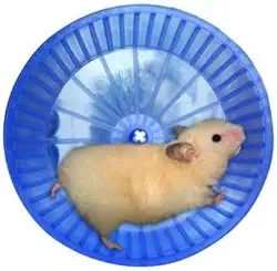 Mr Pet Roda Hamster de Plástico, Cores sortidas
