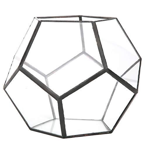 Gucagle Maceta de Vidrio Macetero geométrico Elegante y Moderno Contenedor de Plantas Decorativo para suculentas Helechos Decoración de la Oficina en el hogar Material de Estaño de