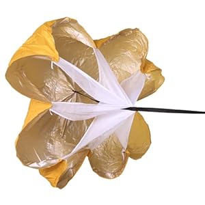 Hrtyvhin Widerstand Fallschirme Geschwindigkeitstraining Laufschirme