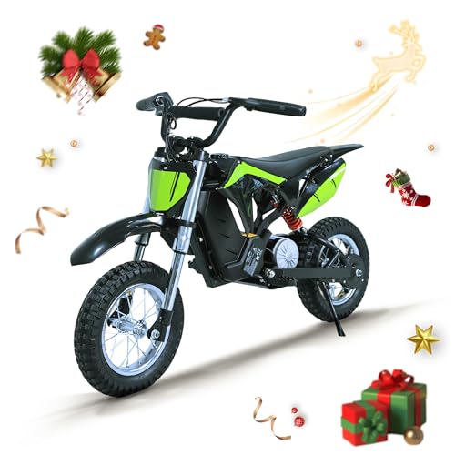 BLAZEGO 36V Electric Dirt Bike