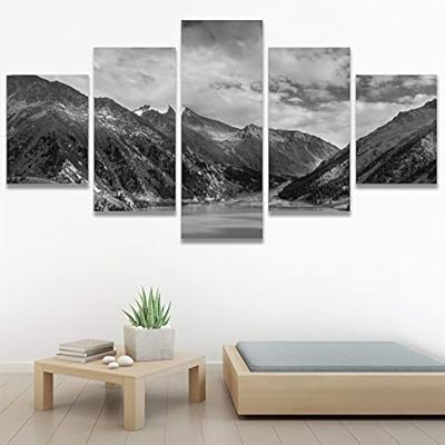 SIGNWIN 5 Panel Canvas Wall Art High Contrast...