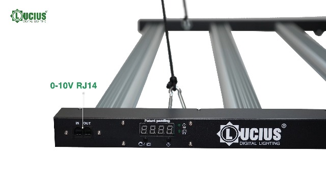 Amazon.com : Lucius 720W LED Grow Light with Master Control Timer
