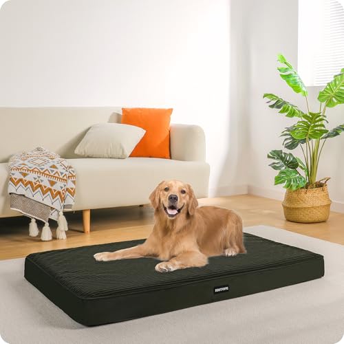 HMTOPE Orthopädisches Hundebett, 10cm Dicke Hundekissen für Mittelgroße Hunde, Grosse Hunde, Abnehmbar und Waschbar Hundematte, rutschfeste Unterseite, Wasserdichtes Innenfutter, 112 cm, Olivgrün