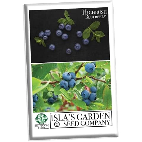 Highbush Blueberry Seeds by Isla's Garden Cover