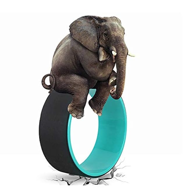 NGT Yoga Wheel 13 inch Yoga Wheel for Back Pain Strongest and Most Comfortable Dharma Yoga Prop Wheel with Free Yoga Bands