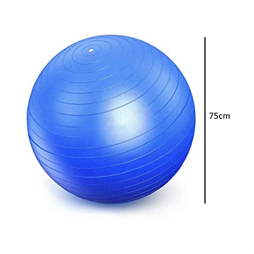 Bola Suiça Premium para Pilates, Yoga e Exercícios, Sistema Anti-Estouro Resistente, Leve, Capacidad