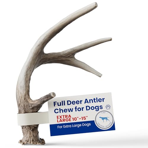Proper Hound Extra Large Deer Antler for Dogs 10-15 Inches