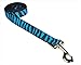 FlyFree Zebra-Turquoise-BLK.4-L 6 ft. Zebra Dog Leash44; Turquoise & Black - Large