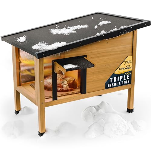 10 Best Bedding For Outdoor Cat Houses