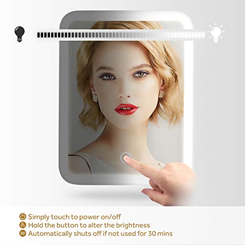 Lavany Lighted Makeup Mirror with 37 LED Lights, Ultra Bright 1100 Lumens Cosmetic Mirror with 10x Magnification, 180° Adjustable Rotation, CRI 88, Dimmable, Battery or USB Powered