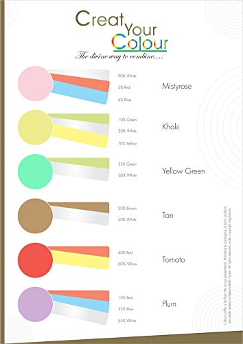 Vizyon Vizyon Sugar Paste (fondent) - Pink 1 kg, 1000 g