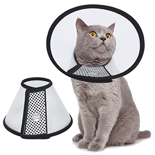 Vivifying Lightweight Plastic Cone