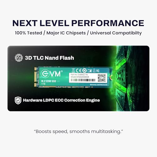 EVM 1TB M.2 (2280) SATA Internal SSD - 550MB/s Read & 370MB/s Write - 5-Year Warranty (EVMM2/1TB)