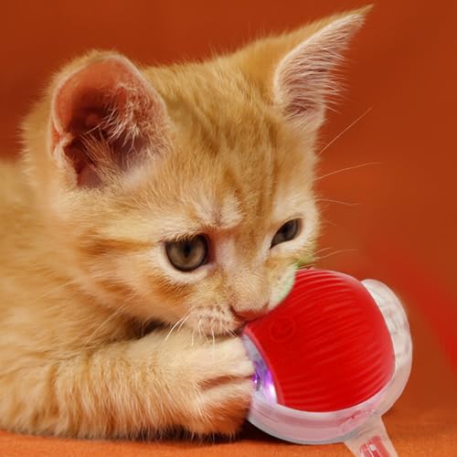 BOBASH 2 Stück Interaktives Katzenspielzeug Ball Katzenball Spielzeug Elektrisch 360° Rolling Ball Hund Hundespielzeug mit USB für Katzen Hunde