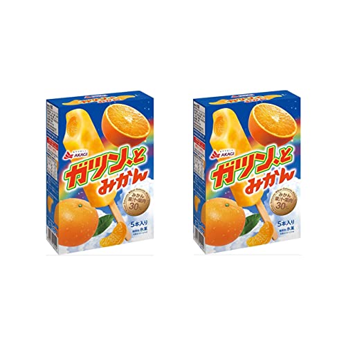 赤城乳業 ガツン、と みかん 58ml ×5本 2個 アイス 冷凍