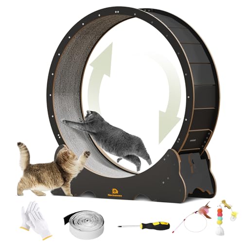 Cat Wheel, 48" XL Large Cats Exercise Running Wheel, Cat Treadmill for Indoor Cats
