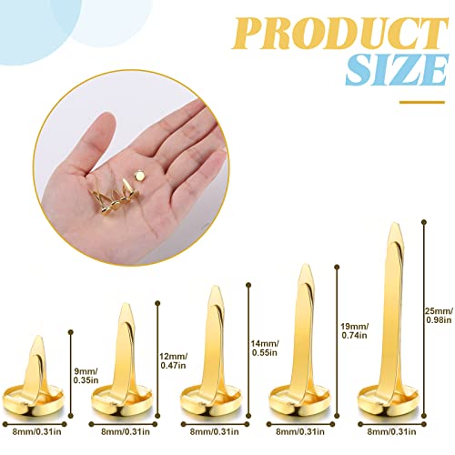 1000 Pieces Paper Fastener Brass Fasteners Round Prong Fasteners Metal Mini Brads Decorative Crafting Supplies For Kids Craft Art School Project Scrapbooking Brad Diy, Gold, 5 Sizes #TOP1