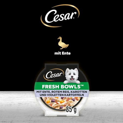 Cesar Schale mit Ente, Karotte, Rind, Reis und Geflügel in Soße 2 x 5 x 85 g