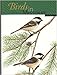 Birds in Missouri