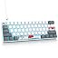 White Grey/Red Switch