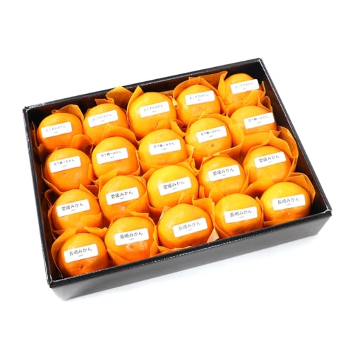 ߎYn3 ݂񖡔׃Zbg AILt[c}CX^[I Ε Ε ~Mtg ʕMtg 蕨 a v[g j j oYj  䌩 މ@j Cj RT (ߎYn3 ݂񖡔׃Zbg)