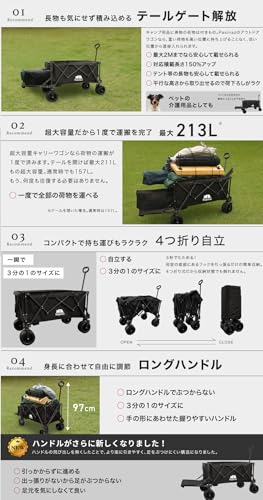 Pasinaz Pasinaz NEWモデル アウトドアワゴン キャリーワゴン の商品画像 2