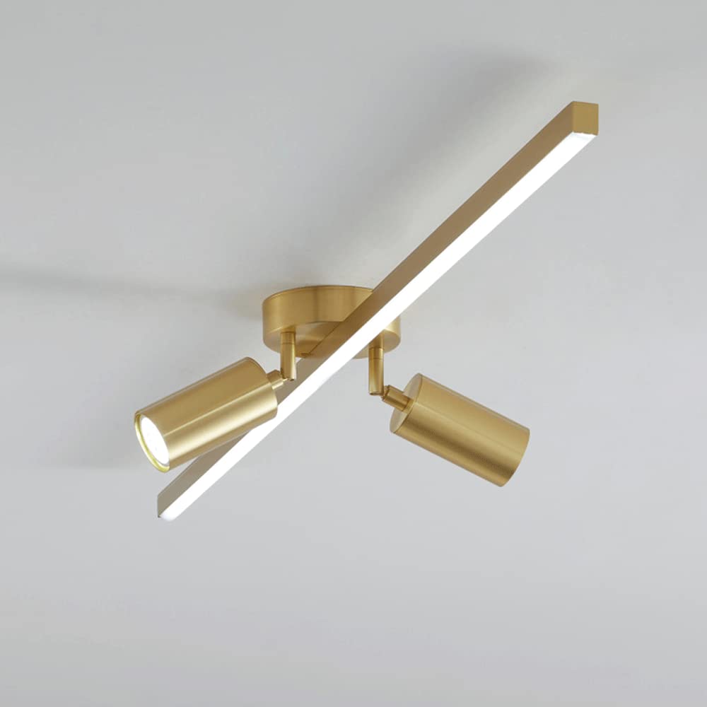 Faretti da soffitto Regolabili, Kit di Illuminazione a Binario Fisso a LED, faretti da soffitto a 2 Vie, faretti direzionali per Cucina, Galleria, corridoio, da