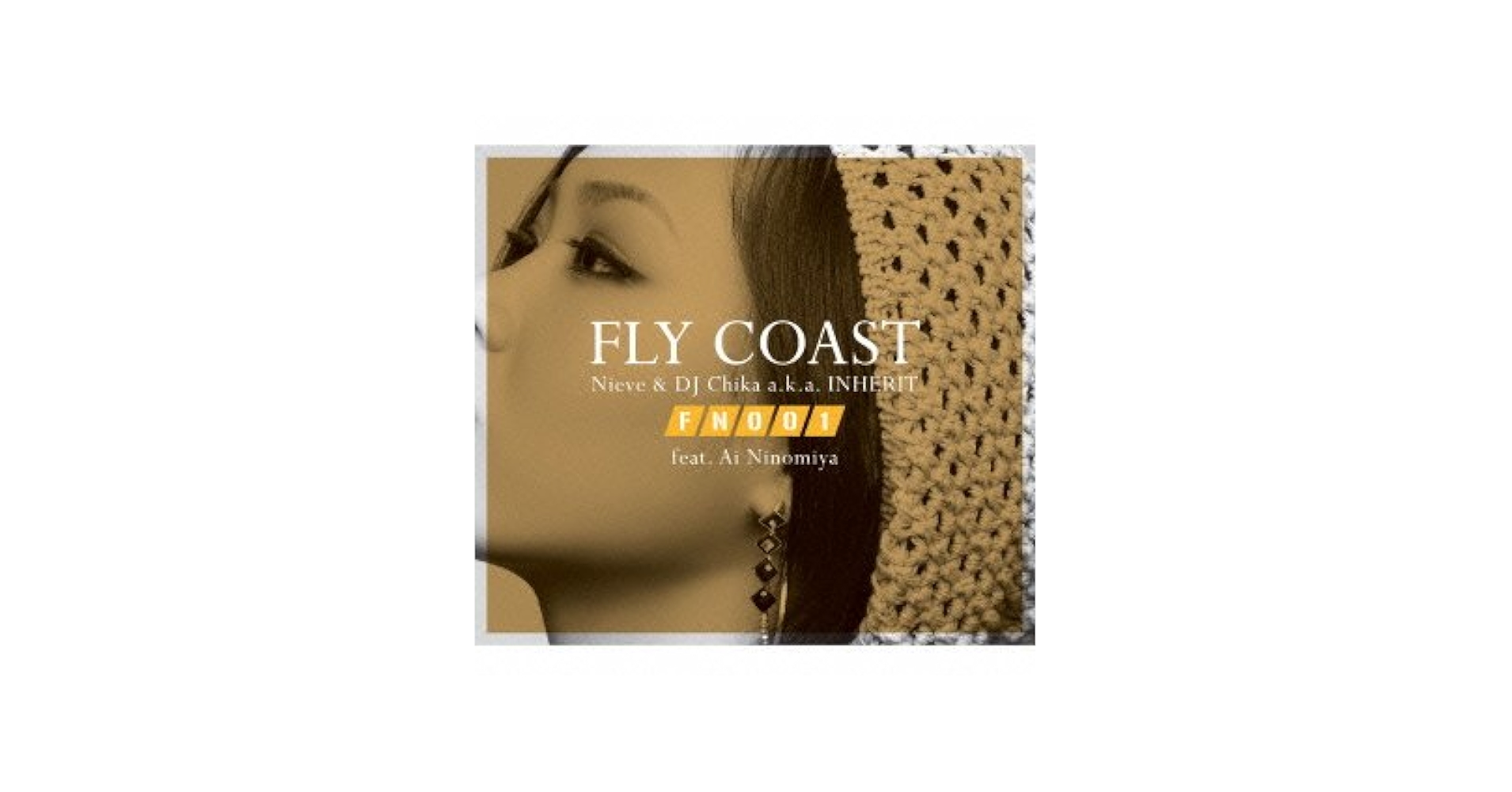 Amazon.com: Fly Coast / Ai Ninomiya - Brand New Title