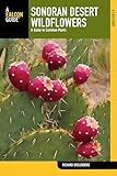 Sonoran Desert Wildflowers: A Guide To Common Plants (Wildflower Series)
