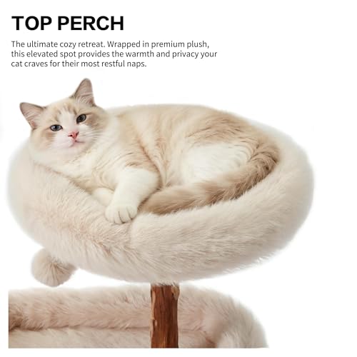 Árbol para Gatos Grande de Madera Natural 44 pulgadas miniatura 4
