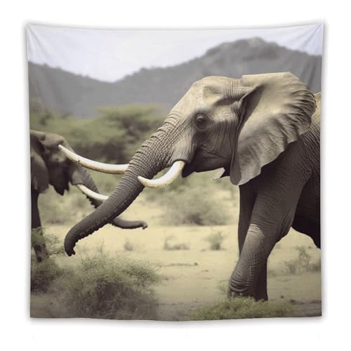Tapisserie murale vintage animaux bohème pour chambre et dortoir cosy