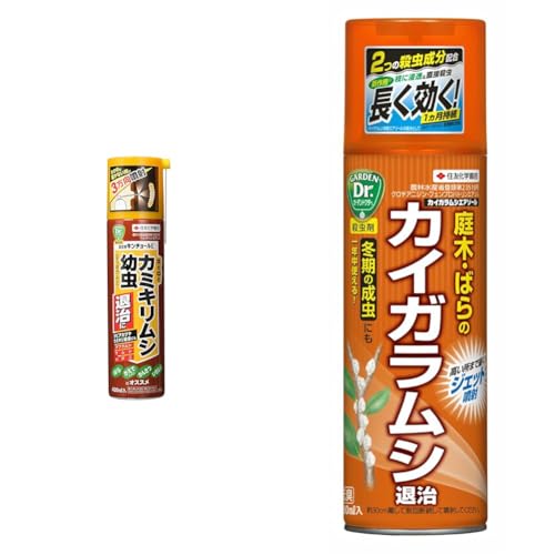 【セット買い】住友化学園芸 殺虫剤 園芸用キンチョールE 420ml カミキリムシ 幼虫 駆除 + 殺虫剤 虫類 カイガラムシエアゾール 480ml 花 樹木 カイガラムシ