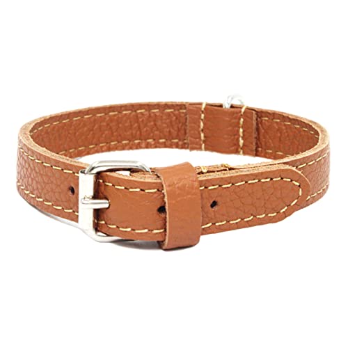 Collare per Cani in Vera Pelle Made in Italy - Dogissimi Special Edition by Pupakiotti - Collare Cane Resistente, Ecologico e Sostenibile (L, Cuoio)