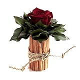 ROSEMARIE SCHULZ Heidelberg