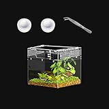 KAKOOTI Reptilien-Mini-PC-Terrarium für Amphibien, 20 x 20 x 15.5 cm, Gehäuse für Springspinnen, Reptilien-Terrarium für Vogelspinnen, Einsiedlerkrebse, Insekten, Fische, Frösche, kleine Bartagamen