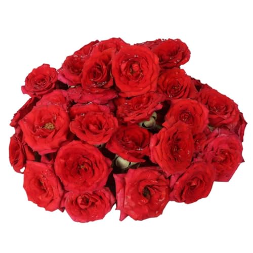Image of Fresh Assorted Roses (Button Roses), 100g