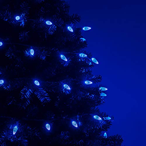 70 C6 Blue Led String Lights, 24 Ft, Indoor-Outdoor Christmas String Lights For Bedroom Dorm Room Lights Outdoor Tree Lights Blue Light Set #TOP3