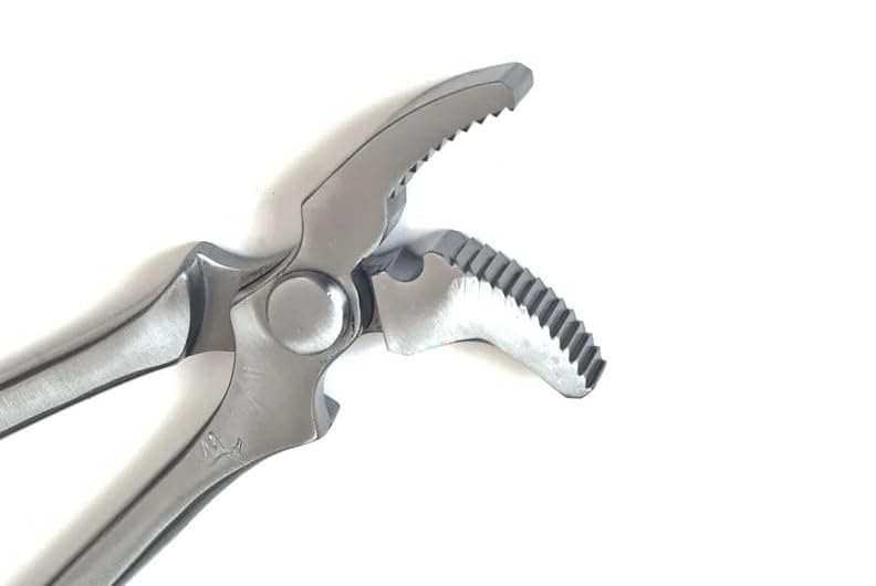 Image of Hoof Curved Jaw Clincher 13 inch, Farrier Tool Hoof Nail Clincher Vanadium Steel Plier