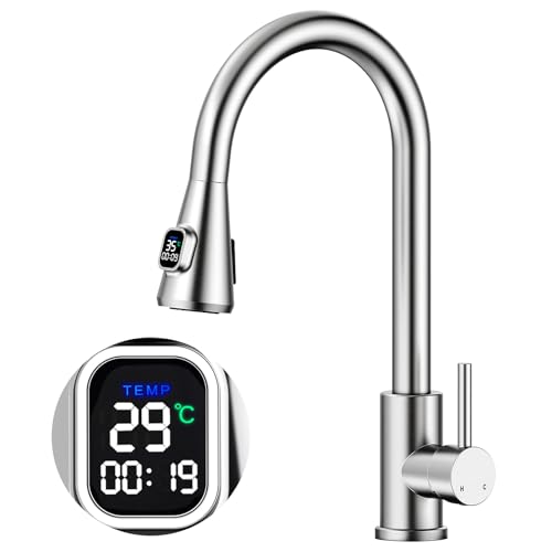 HOMELODY Wasserhahn Küche mit LED Temperaturanzeige, Küchenarmatur Ausziehbar, Hochdruck Mischbatterie Spültischarmatur aus Edelstahl mit 2 Strahlarten, Einfache Installation
