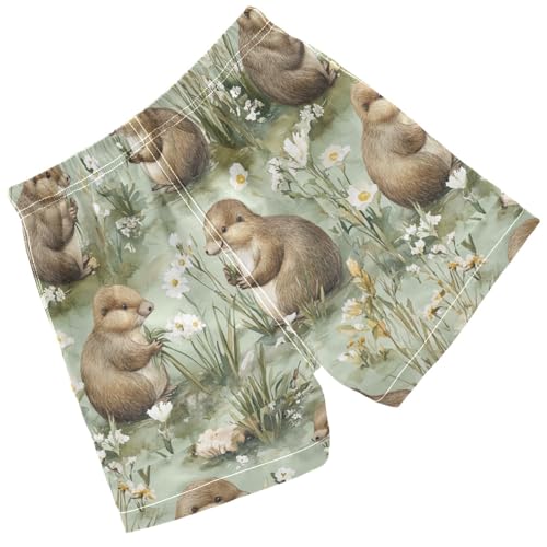 Pigsaly Boys' Swim Board Shorts Australian Animals Brown Platypus Boy's Swim Trunks Kids Swimwear S2