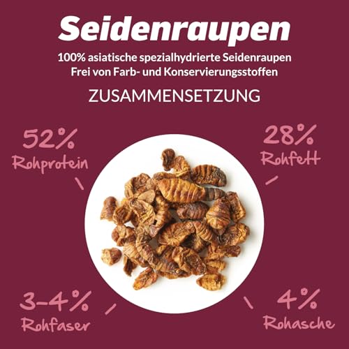 KOIPON Seidenraupen 1,5 kg getrocknet, Naturfutter ergänzend zu Koifutter für japanische Koi & Goldfische, Fischfutter, Leckerli zur Handfütterung